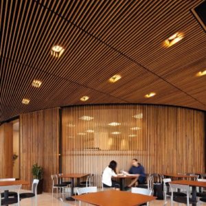 Bamboo False Ceiling Contractors in Rohini